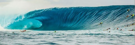 CARVE Surfing Magazine's banner