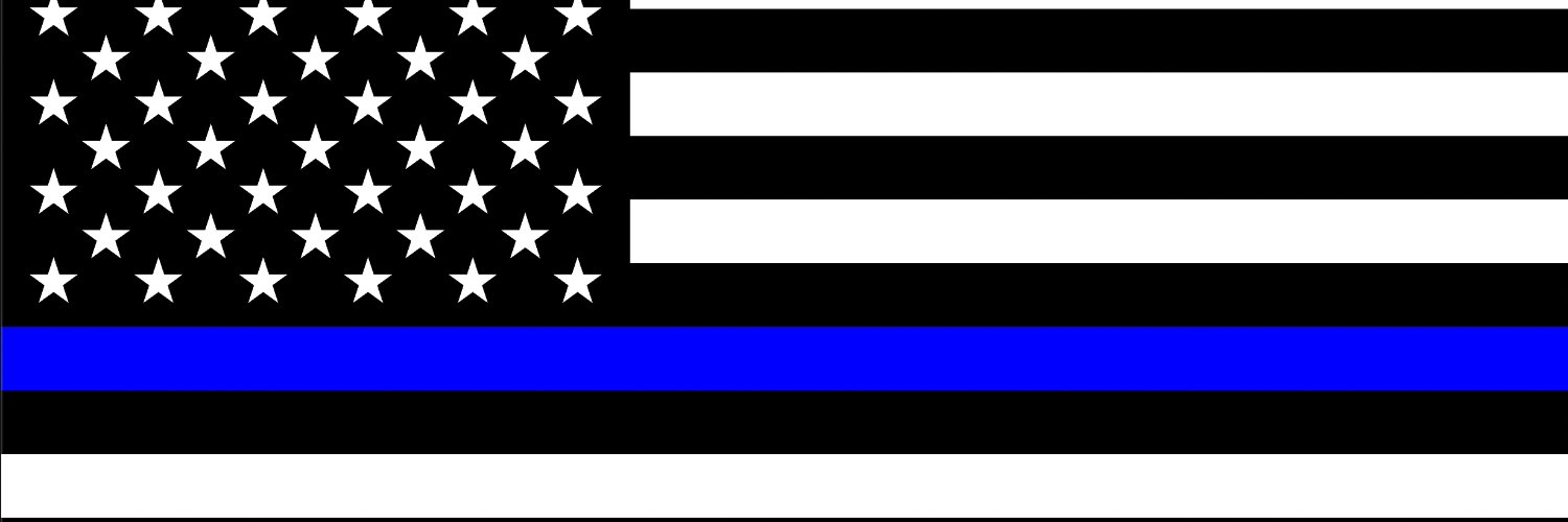 Punisher. Cop. Dad.'s banner
