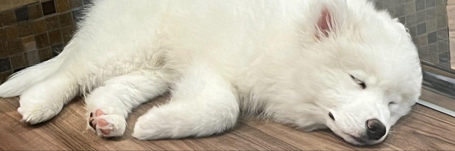 ♡szr's banner