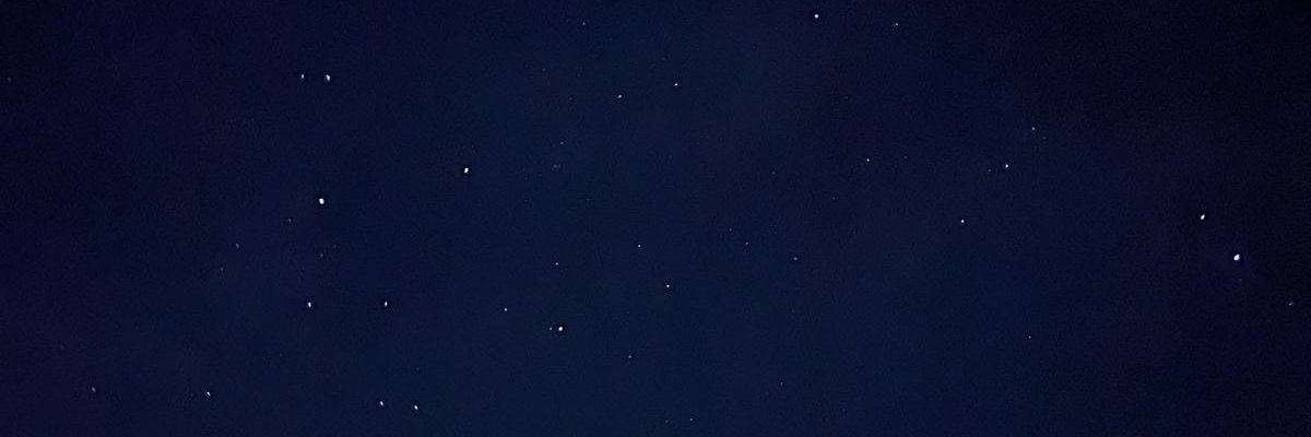 Beste Naz Süllü's banner