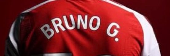 Bruno G.'s banner