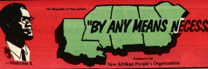 New Afrikan People's Network's banner