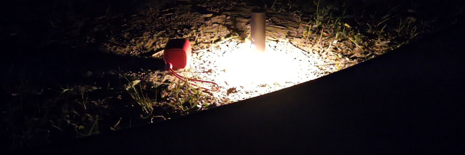 哲's banner