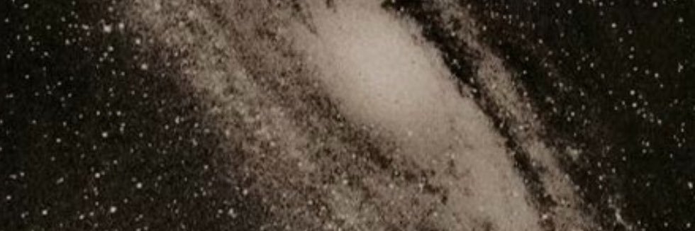 eliza's banner