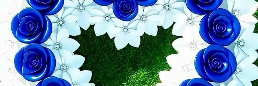 وفاء الصنعانيه ☺️'s banner