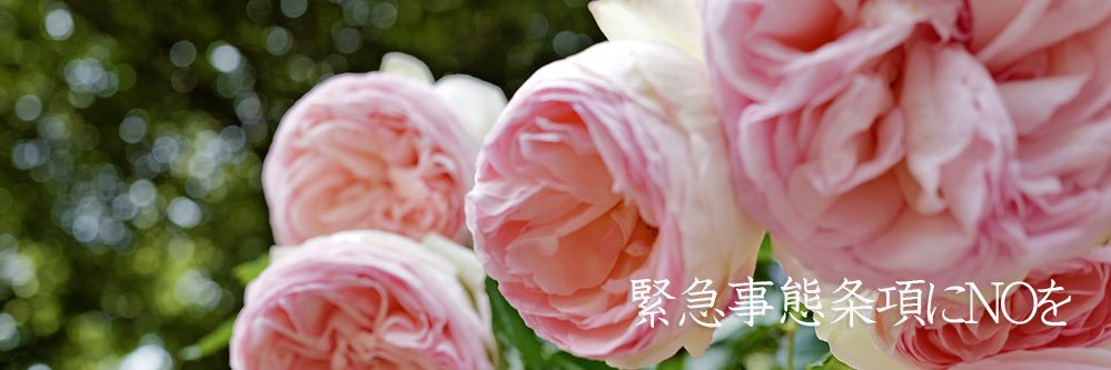 しゅう🐾改憲反対消費税廃止's banner
