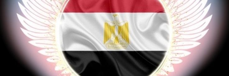 Sara Abdelhamid3🇪🇬's banner