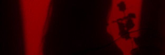 DosisDeMorbo🇲🇽's banner