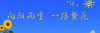 杨咩咩's banner