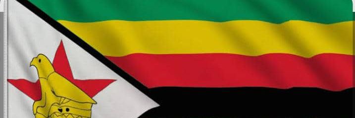 Hon Lt Gen (Rtd) Amb. AN Sanyatwe's banner