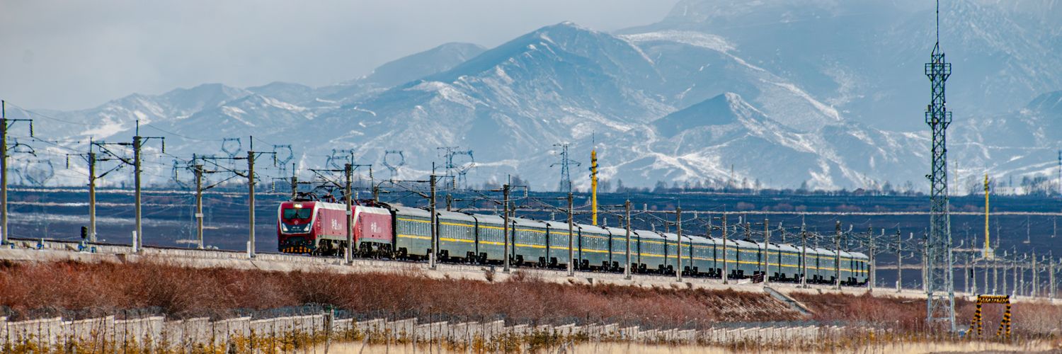 🛠蒸汽#Biantai#老凛🚂's banner