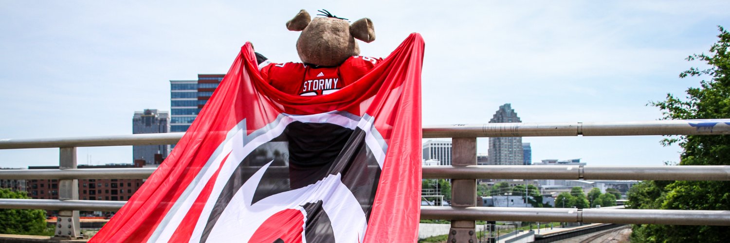 Stormy's banner