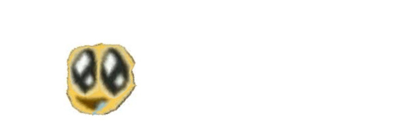 omie's banner