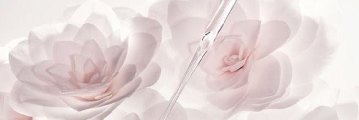 ⭒۟ 𝑐𝒉𝑎𝑟𝑙𝑜𝑡𝑡𝑒.'s banner