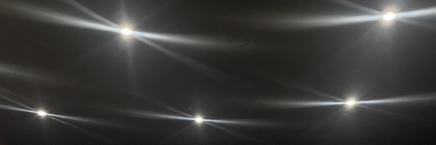 introverted's banner