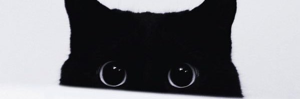 💥's banner