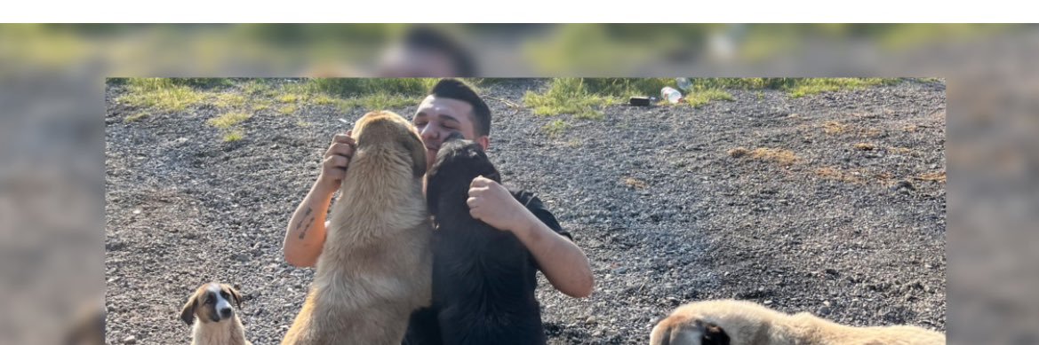 Samet Zeybek's banner