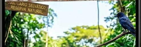 Venezuela Boutto 🇻🇪's banner