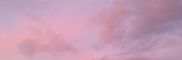 Penny's banner