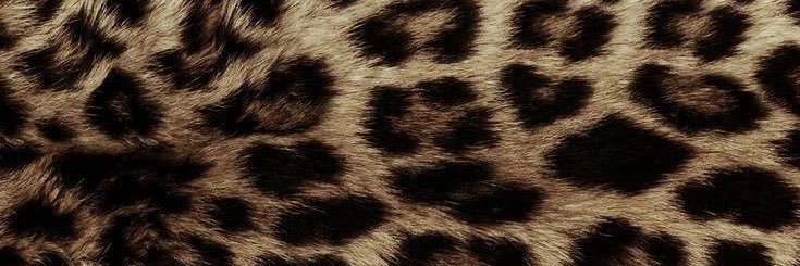 Tavi Larai's banner