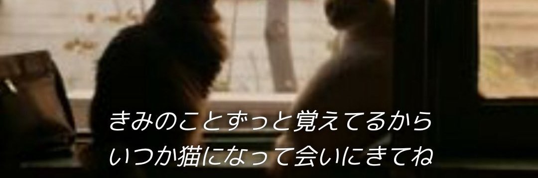 ひなみ🐈‍⬛🎀猫の使い魔's banner