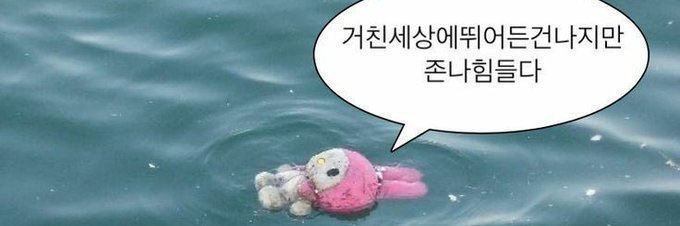 디디's banner