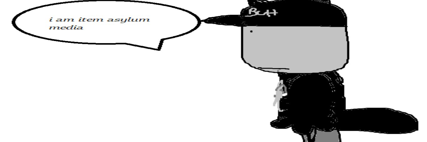 Item Asylum Media's banner