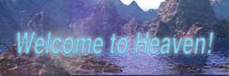 brandon's banner