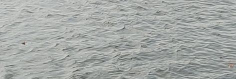 。's banner