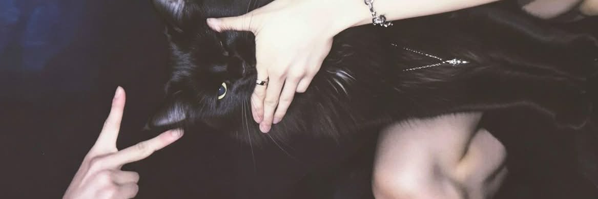 一ノ瀬 朔's banner