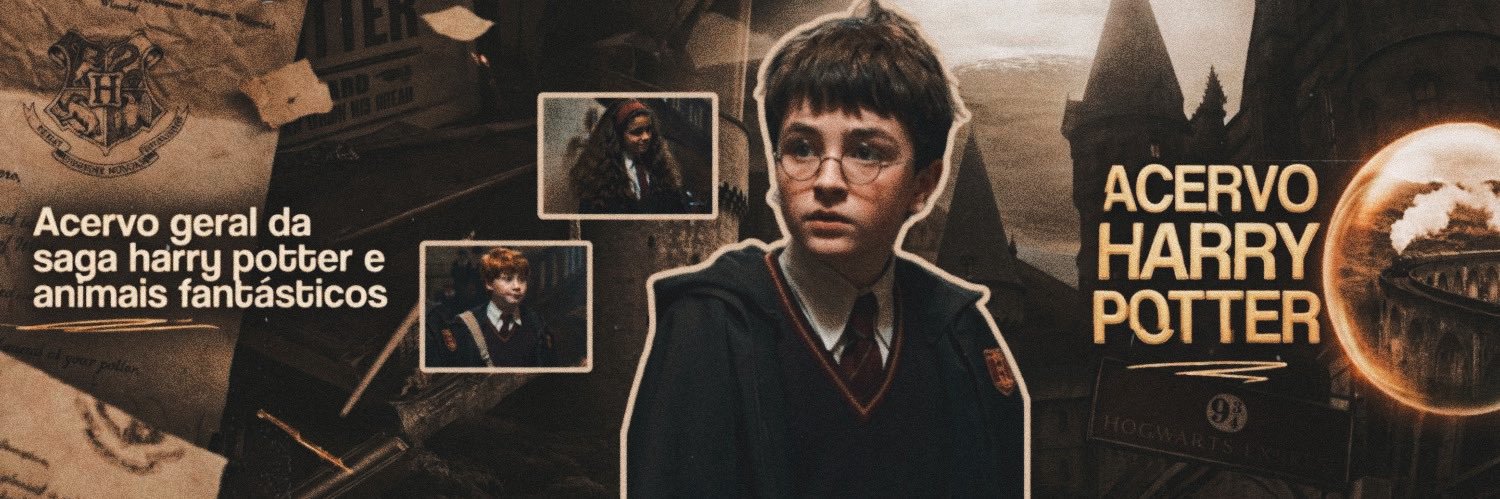 acervo harry potter's banner