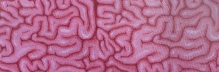 k1tty's brain ⋆˚🧠˖°'s banner
