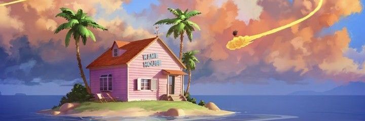 zoro's banner