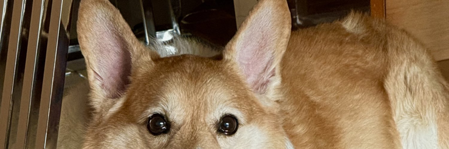 ‘ㅅ’'s banner