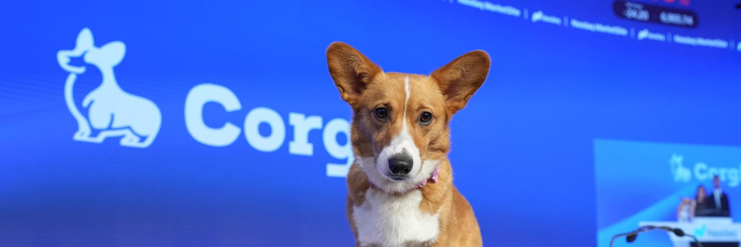 Corgi's banner
