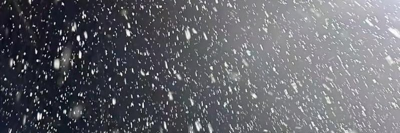 飞雪's banner