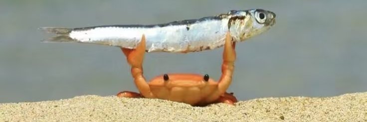 鹹魚大王's banner