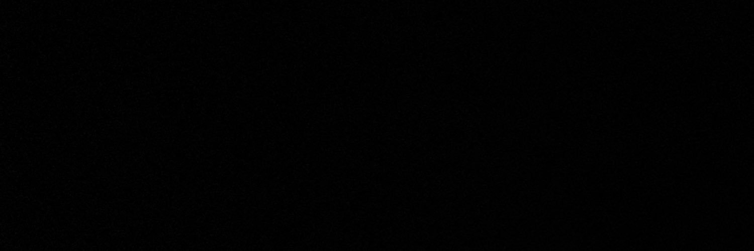 ladynoirss_'s banner