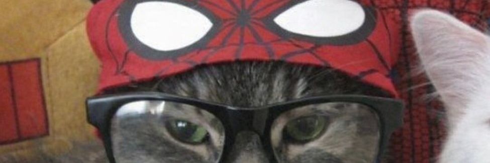 g🕷's banner