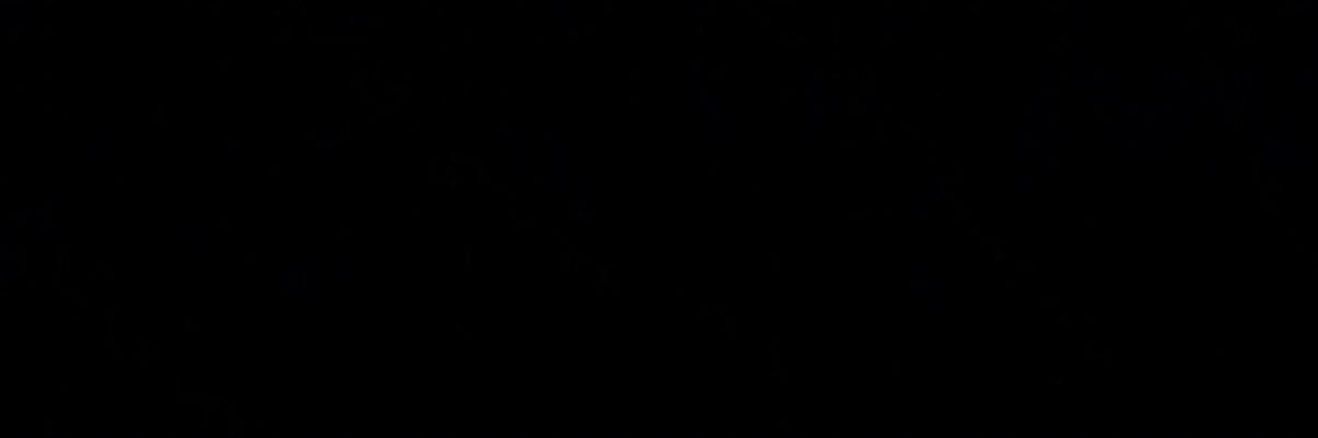 rade's banner