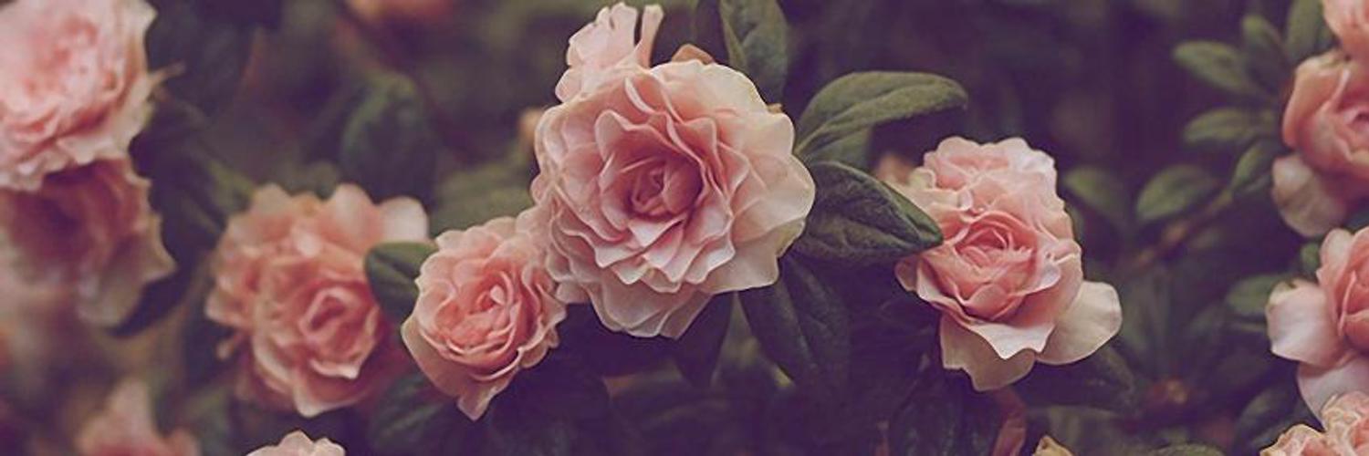 あやちゃそ's banner