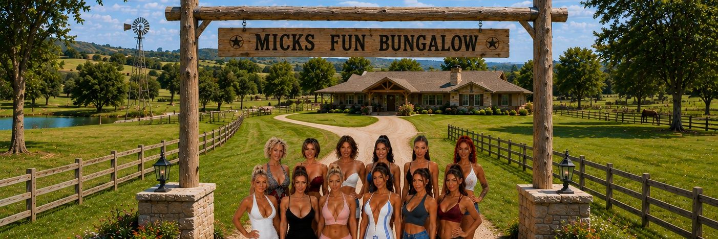 micksfunbungalow's banner