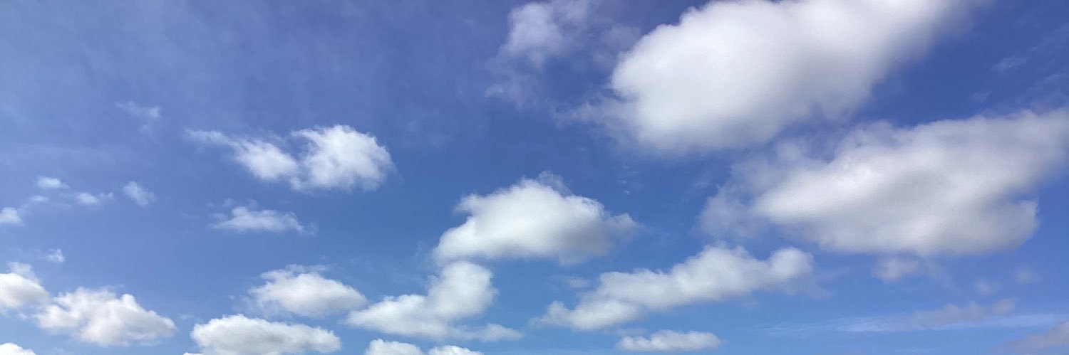 岡本麻弥@政治アカ's banner