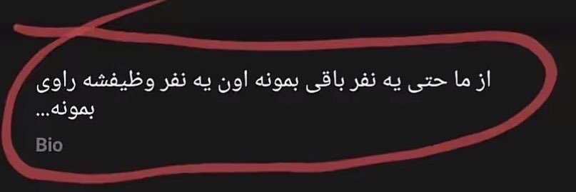 Zizi🇮🇷's banner