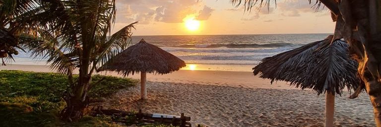 Praia de nudismo: Tambaba Beach's banner