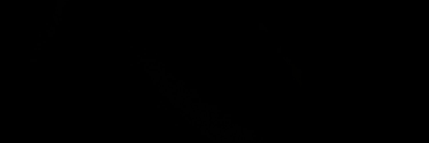 XYZ | PARODY |'s banner
