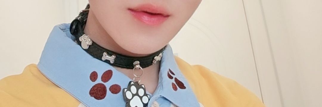 小小迪(ˊ˘ˋ*)'s banner