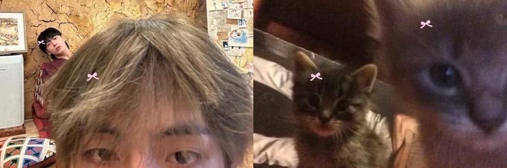 koobin🪭 IS SEEING BTS | au’s ⸝⸝.ᐟ⋆'s banner