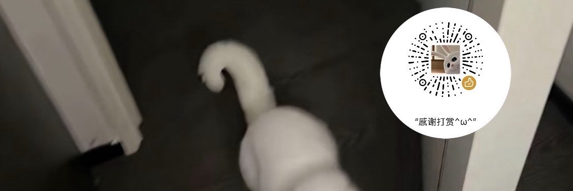 小猫无需睡眠's banner