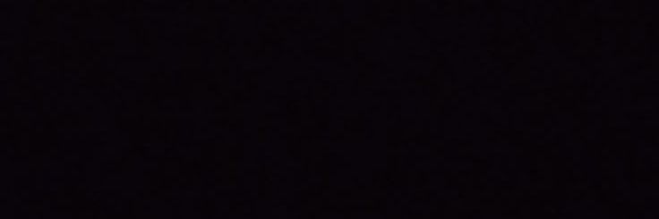 panda.'s banner